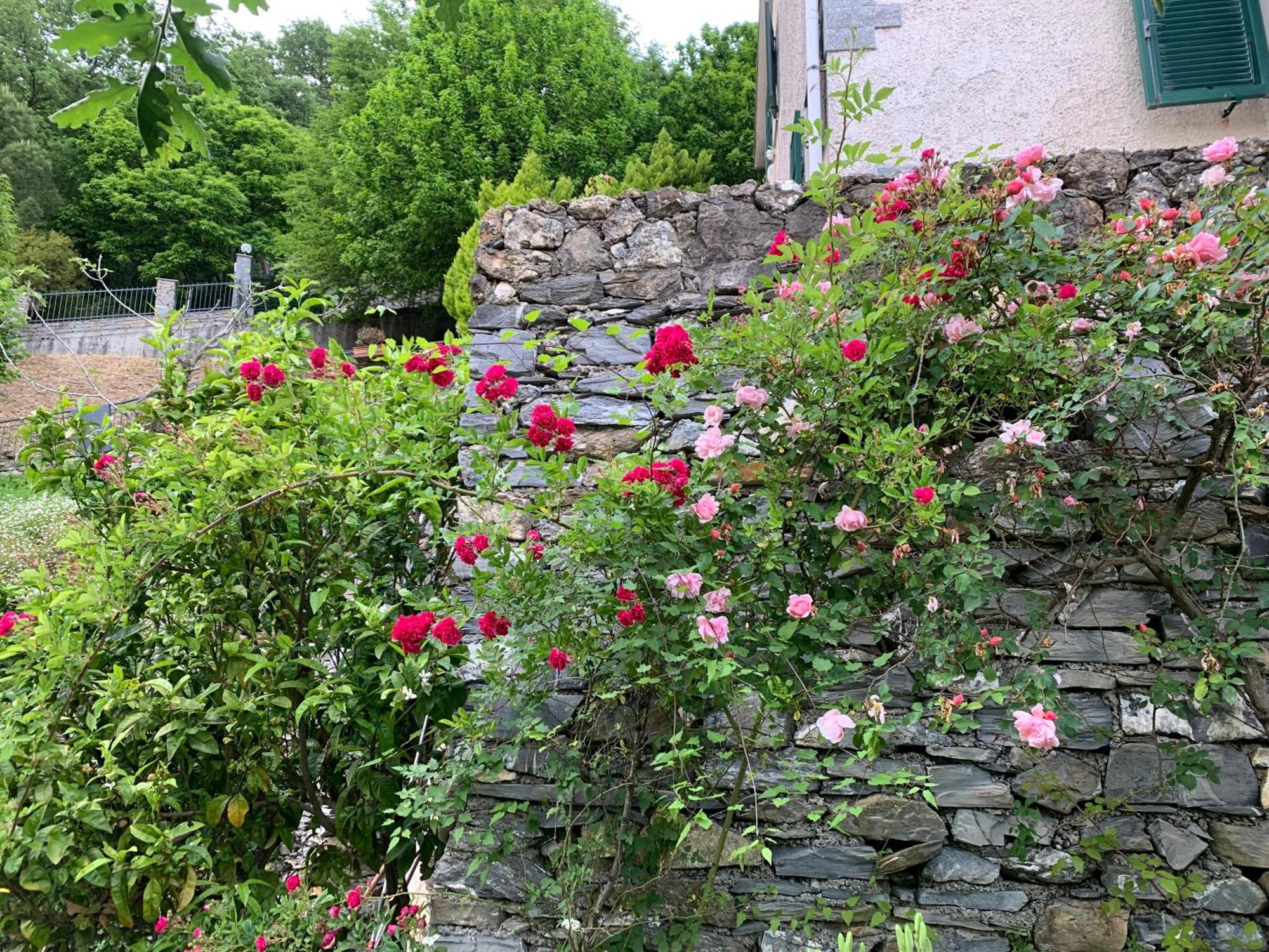 Вилла Il Giardino Di Piero - Lt-0029 Salto Chiesa Экстерьер фото